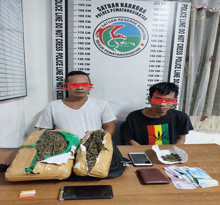 Polres Siantar Tangkap Pria Pemilik Ganja Begini Kejadiannya Dan