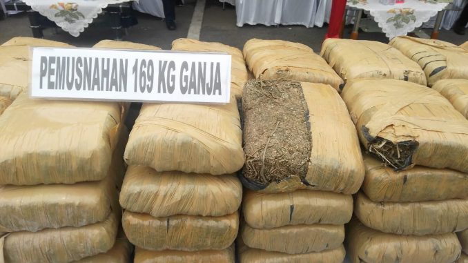 KAPOLRESTABES MEDAN MUSNAHKAN 169 KG GANJA DAN 9,5 KG SABU