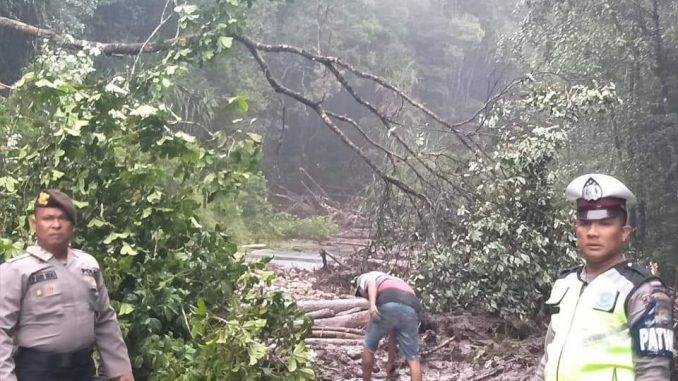 Lokasi Longsor Sebelum Dibersihkan Oleh Petugas, Lokasi Lae Pondom, KM 111 – KM 112, Kecamatan Sumbul, Kabupaten Dairi.