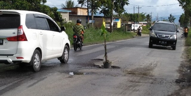 Kondisi jalinsum di Tobasa yang berlubang di Tanamin Pohon Pisang oleh warga