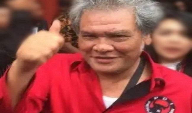 Ketua DPD PDIP Sumut Japorman Saragih