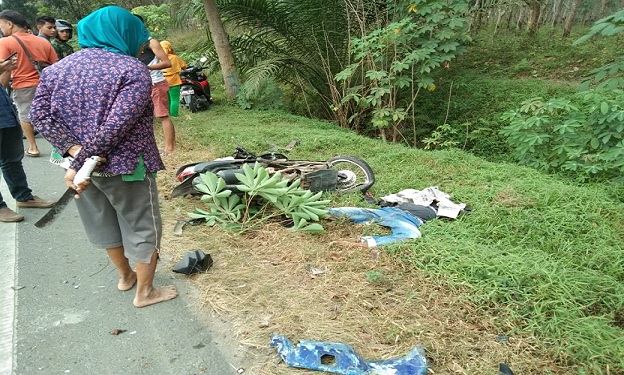 Surian ditemukan terkapar dipinggiran Jalan Lintas Sumatera (Jalinsum) Kilometer (KM) 118-119 Medan - Kisaran, sudah dalam kondisi tidak bernyawa