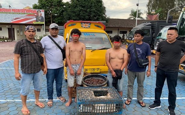 Tersangka dan Barang Bukti yg diamankan berupa Gambir 3 Keranjang, Keranjang ayam 2 kotak dan Satu unit mobil angkot Merga Silima no dinding 057 BK 1138 SF.