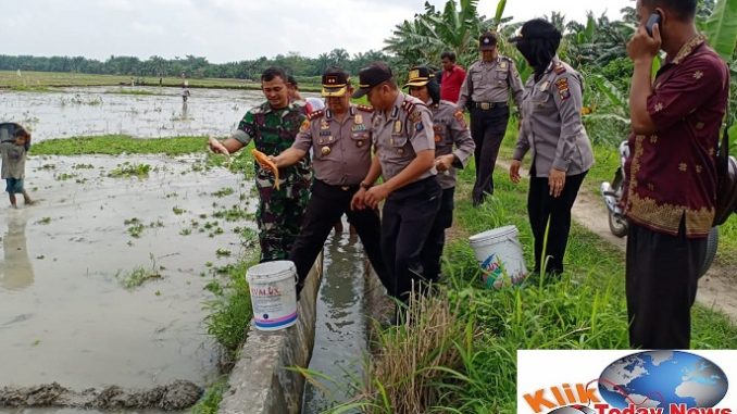 Kapolres Batu Bara AKBP H. Ikhwan Lubis, SH, MH Turun Kolam Ranen Raya Ikan Mas Kelompok tani Dosroha Binaan Bhabinkamtibmas di Desa Cahaya Pardomuan Kecamatan Datuk Lima puluh Kabupaten Batu Bara. Kamis, 13/02/2020