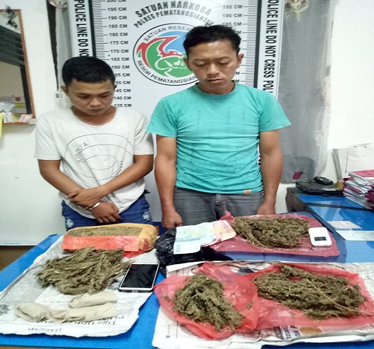 Dua Pengedar Ganja 1 3 Kg Ditangkap Polres Pematangsiantar Berita Ter