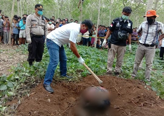 Jenazah CHANDRA Prayoga (13) pelajar kelas VIII atau kelas 2 SMP ditemukan di perkebunan karet