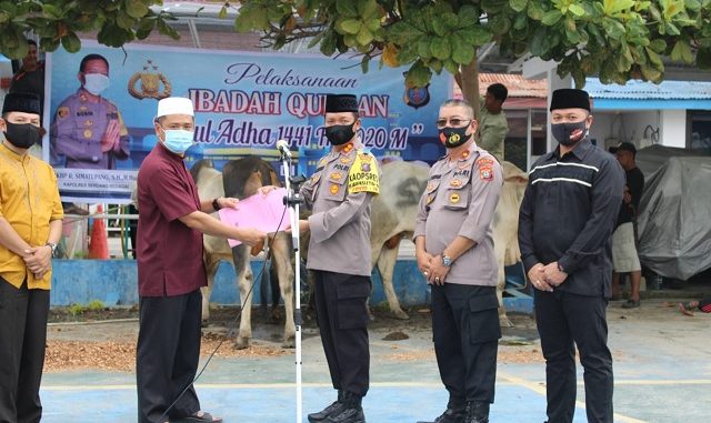 Kapolres Serdang Bedagai AKBP Robin Simatupang dalam sambutannya mengatakan bahwa pelaksanakan kegiatan Ibadah Qurban Idul Adha 1441 H di Polres Serdang Bedagai sebanyak 18 ekor sapi dan 7 ekor kambing.