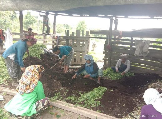 Para petani yang bergabung dalam Kelompok Tani Lestari Desa Salaon Dolok Kecamatan Ronggurnihuta