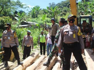 Jembatan sungai Aek Puli, Tapanuli Utara