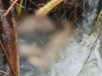 temuan sesosok mayat di duga anak laki laki di aliran sungai Bah Bolon wilayah tersebut, Minggu (02/08/2020) sekira pukul 07.00 WIB.