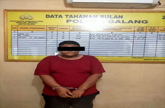 MAL alias Arif (32) ditangkap Polisi pada pelariannya di perladangan Desa Ujung Rambe Kecamatan Bangun Purba. Rabu (18/11).