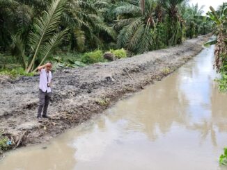 Normalisasi sungai di Desa Sumber Rejo Kecamatan Datok Lima Puluh Kabupaten Batu Bara.