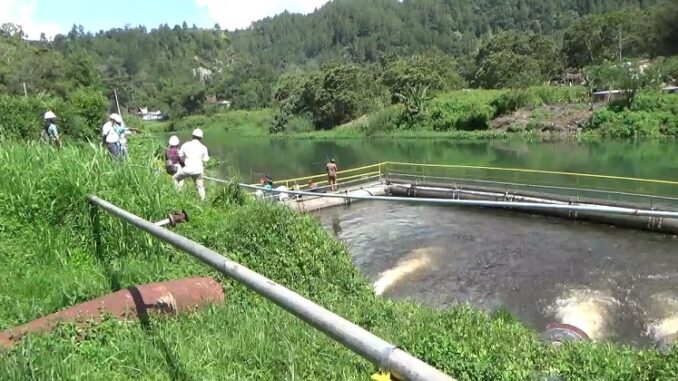 Pihak management PT Toba Pulp Lestari Tbk (PT TPL) mengundang pihak Dinas Lingkungan Hidup, Pemerintah Kabupaten Toba untuk melihat langsung kondisi limbah yang dibuang sudah sesuai baku mutu, Jumat (15/1/2021).