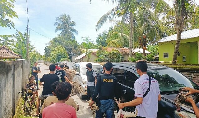 Tim Puma Sat Reskrim Polres Lombok Barat, bubarkan judi Sabung Ayam di Dsn. Lamper Ds. Jagerage Kec. Kediri Kab.Lombok Barat, Rabu (17/2/2020).