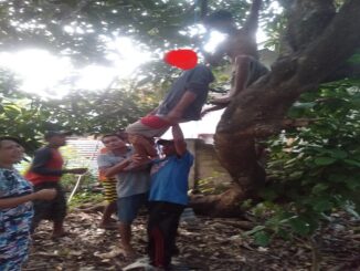 MI (16), ditemukan tergantung di pohon mangga di pekarangan, Selasa (23/3), sekitar pukul 17.30 Wita.