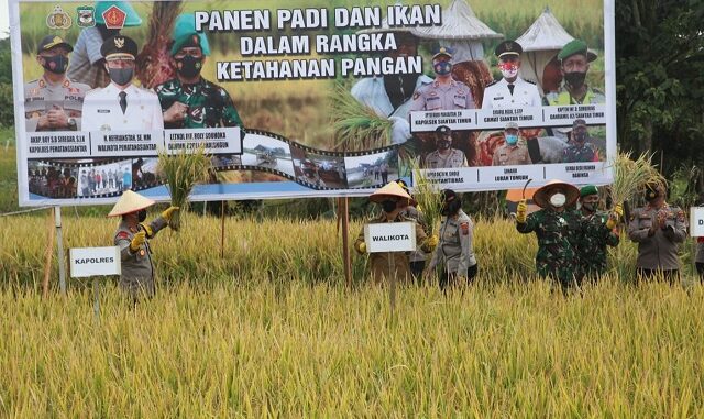 Walikota Siantar Hadiri Peresmian Kampung Paten Sitiur di Kelurahan Tomuan Selasa (2/3/2021).