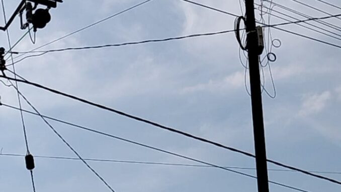 IMG-20250708-WA0146